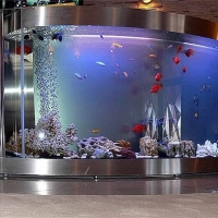 zingi gallery галерея pictures аквариум, рыбки, дизайн, необычно