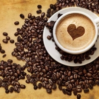 zingi кофе coffee